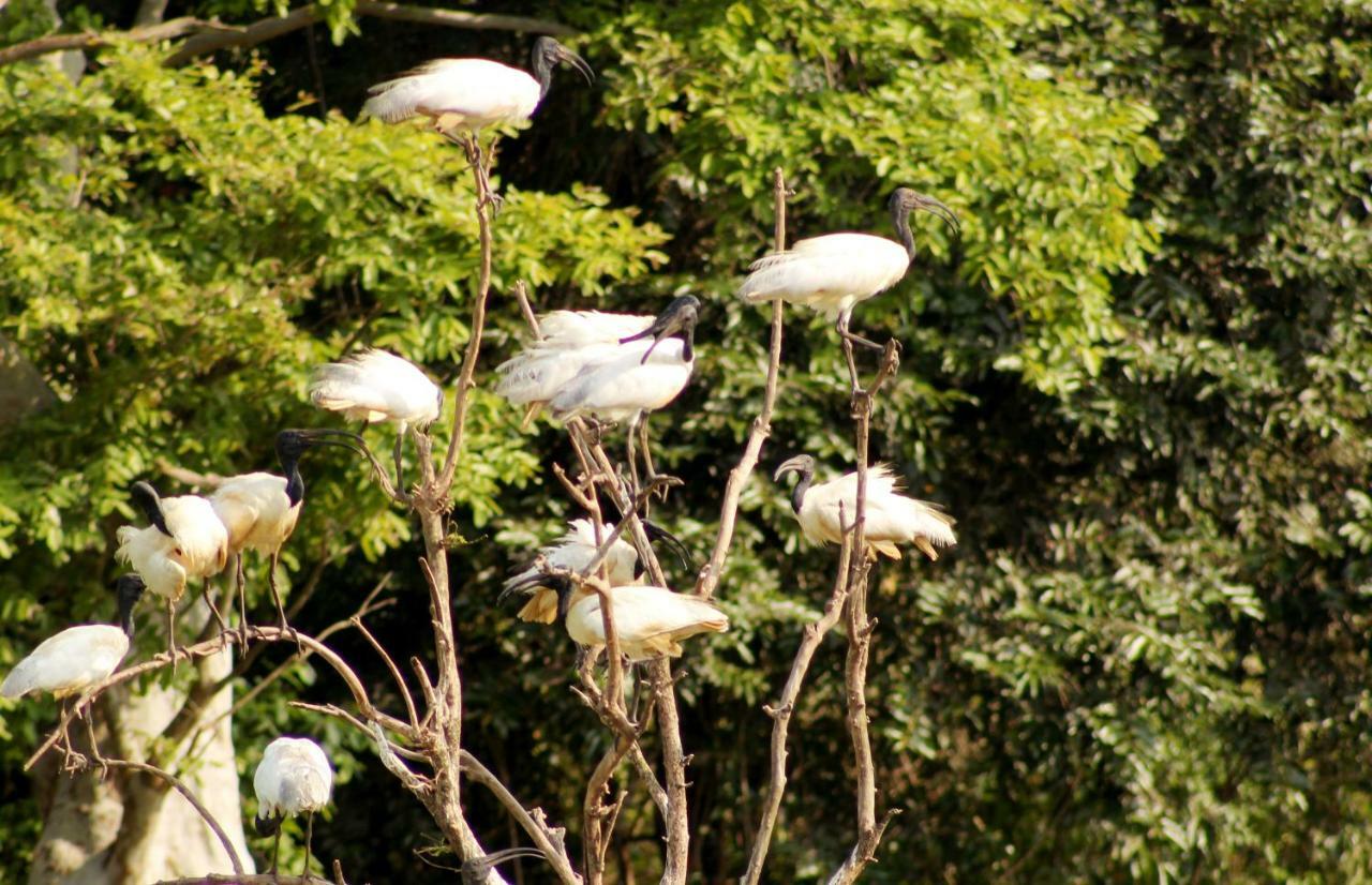 Wasgamu Safari Lodge Wasgamuwa Buitenkant foto