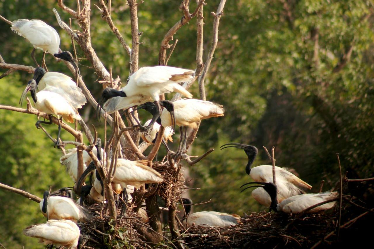 Wasgamu Safari Lodge Wasgamuwa Buitenkant foto