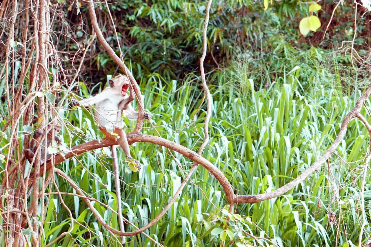 Wasgamu Safari Lodge Wasgamuwa Buitenkant foto