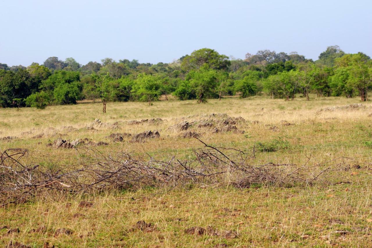 Wasgamu Safari Lodge Wasgamuwa Buitenkant foto